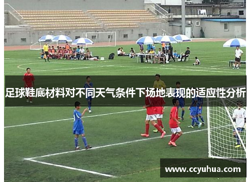 足球鞋底材料对不同天气条件下场地表现的适应性分析